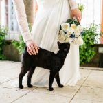 como integrar a mis mascotas en bodas
