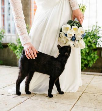 como integrar a mis mascotas en bodas