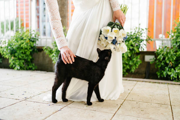como integrar a mis mascotas en bodas